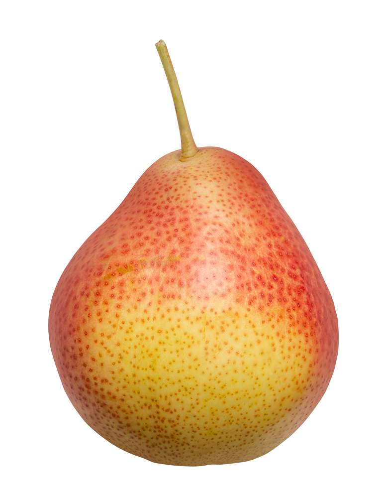 Pear, Pear png, Pear png image, Pear transparent png image, Pear png full hd images download